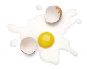 splattered egg